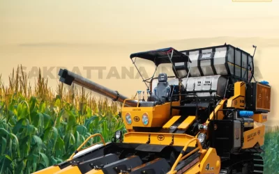 How to Plant Corn Using No-Till Farming Method