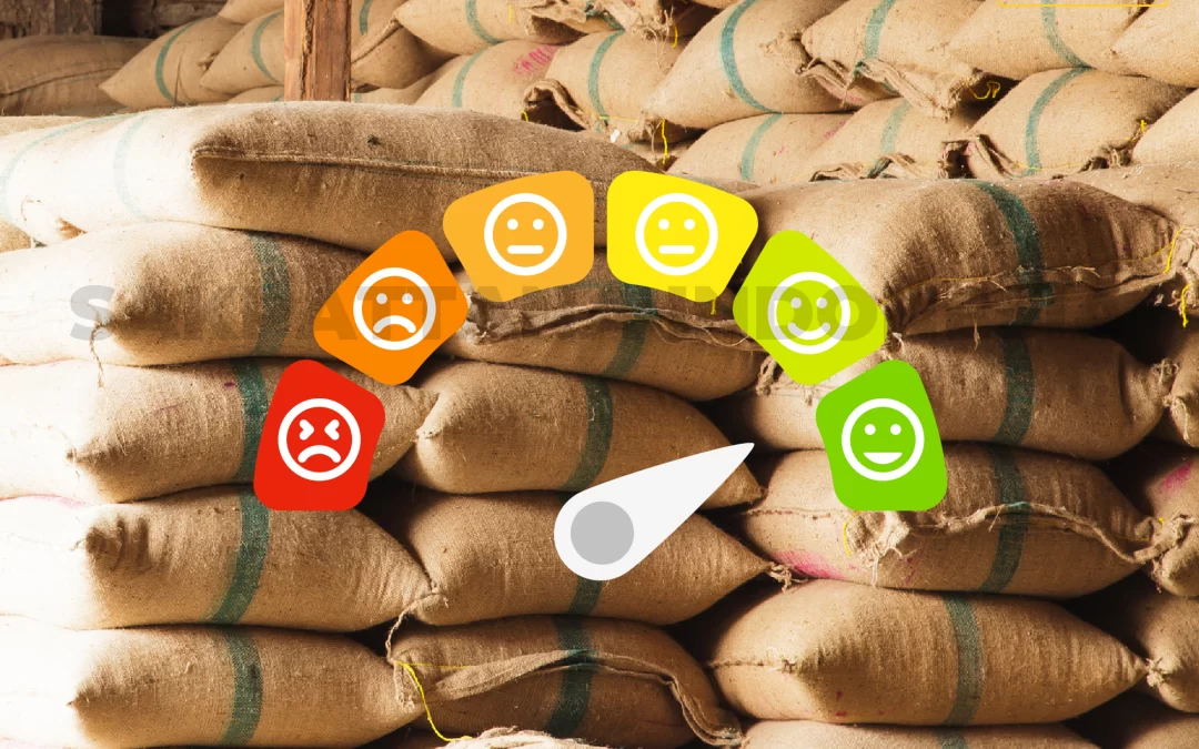 The technique of managing nutrients in rice fields can increase harvest production